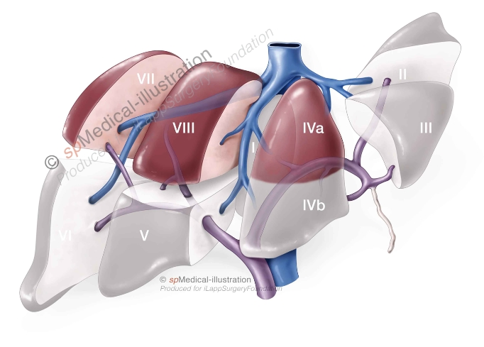 Introduction to difficult posterosuperior segments