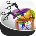 iLappSurgery logo