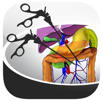 larascopy logo