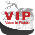 vip logo